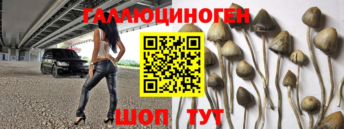 Псилоцибиновые грибы Magic Shrooms  Вход с VPN  Приморско-Ахтарск 