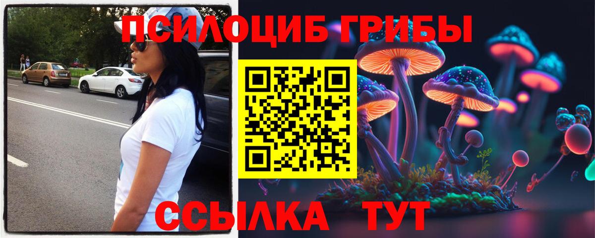 Галлюциногенные грибы ЛСД Приморско-Ахтарск