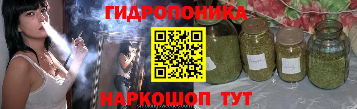Бошки Шишки ГИДРОПОН  Шишки марихуана марихуана  Вход с VPN  Шишки марихуана планчик  Приморско-Ахтарск 